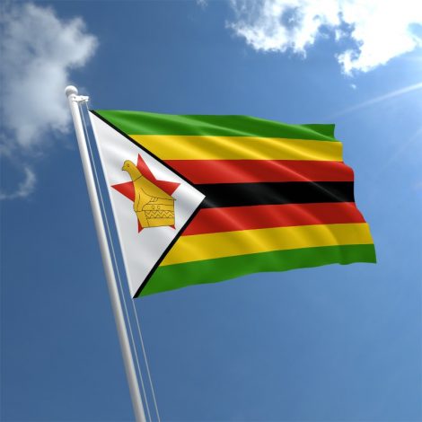 Poet Zim
