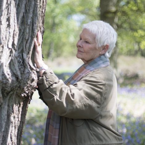 Dame Judi Dench