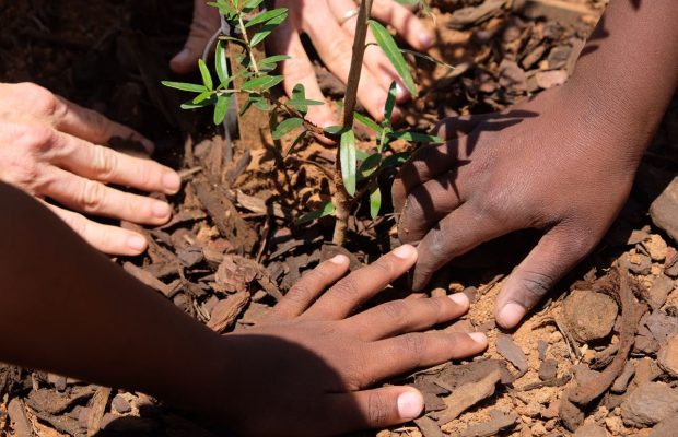 Planting Food Gardens at ECD Centres: Growing a Brighter Future!