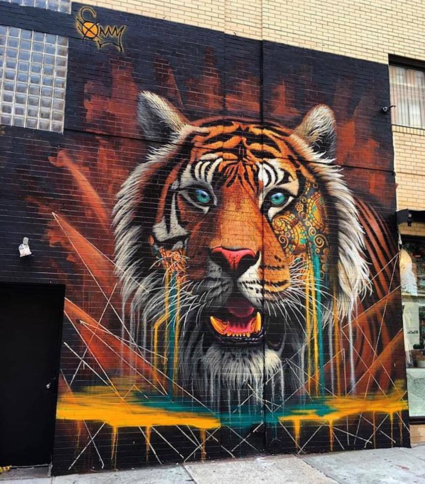 Street Art is saving South African wildlife thanks to this talented artist!