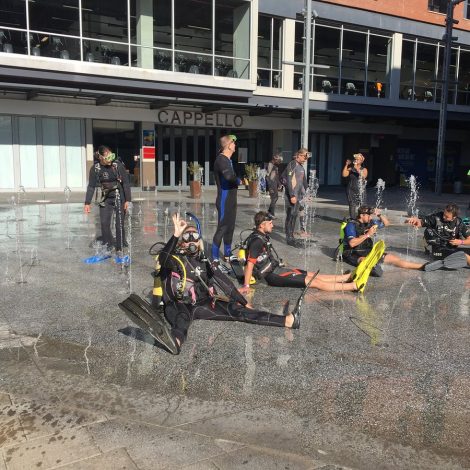 Johannesburg Divers