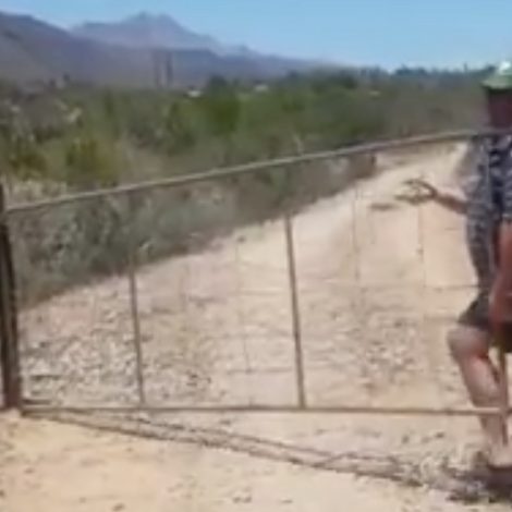 Must Watch: Farmer sokkie dancing with his gate kicks off 2018 with a laugh