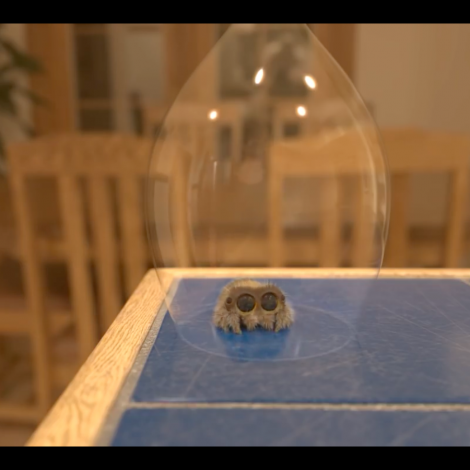 Lucas the Spider