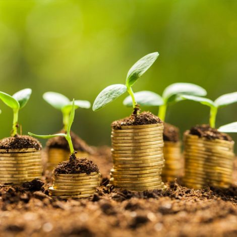 Grants Causes Power Investment entrepreneurs Investors crowdfund World Bank scholarship Rewards-Based Non-profit Organisations Financial Situation