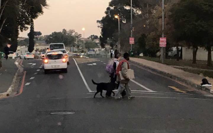 desmond-newspaper-vendor-blind-crossing