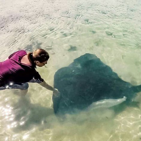 Stingray South Africa