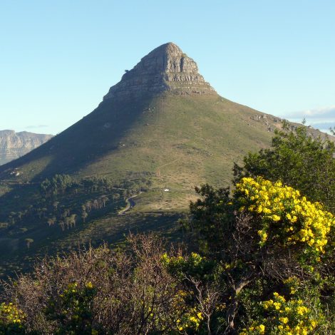 Mountain volunteer wildfire lions head