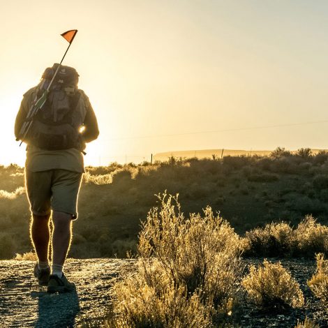 wonder walkers karoo