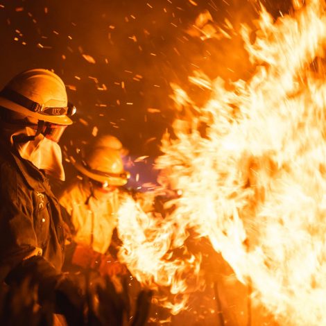Raging Wildfires Cape Town - R5 million raised in just 2 weeks - Good Morning Angles supporters show up with immense heart after devasting fires destroyed at least 100-thousand hectares of precious land, crops, and farm infrastructure!