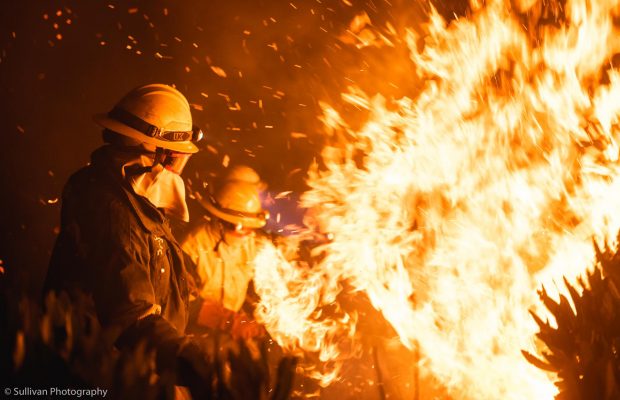 Raging Wildfires Cape Town - R5 million raised in just 2 weeks - Good Morning Angles supporters show up with immense heart after devasting fires destroyed at least 100-thousand hectares of precious land, crops, and farm infrastructure!