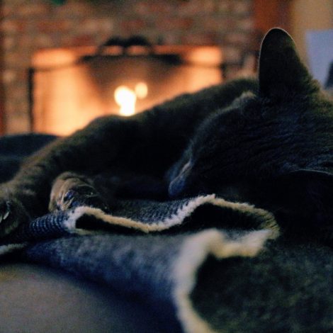 Blankets