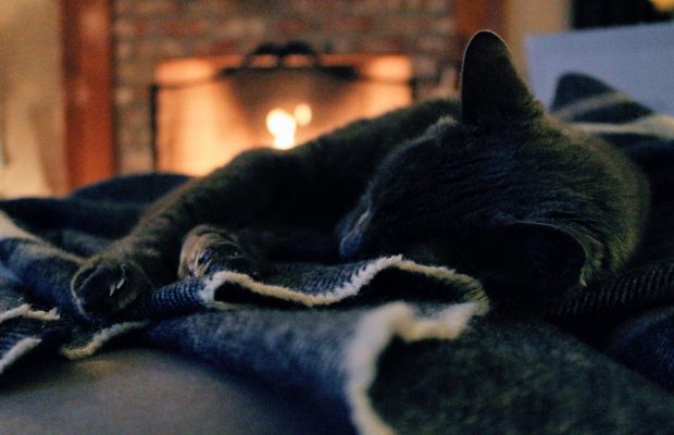 Blankets