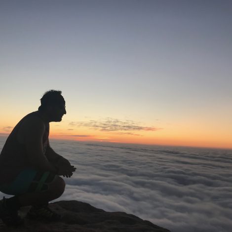 lions head