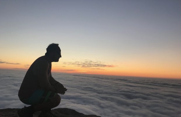 lions head