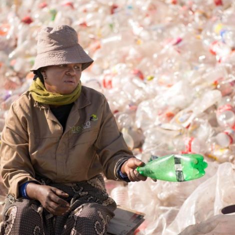 Record 2.15 billion PET plastic bottles recycled in SA in 2017