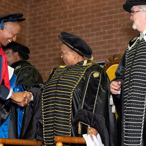 Sisa Ngebulana degree