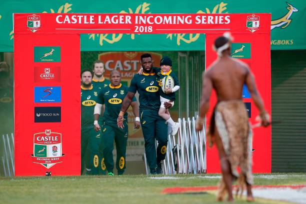The story behind Saturday's Mascot for the Springboks
