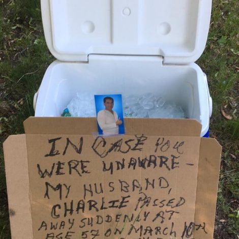 daily good deed