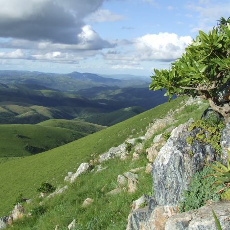 Makhonjwa Mountains