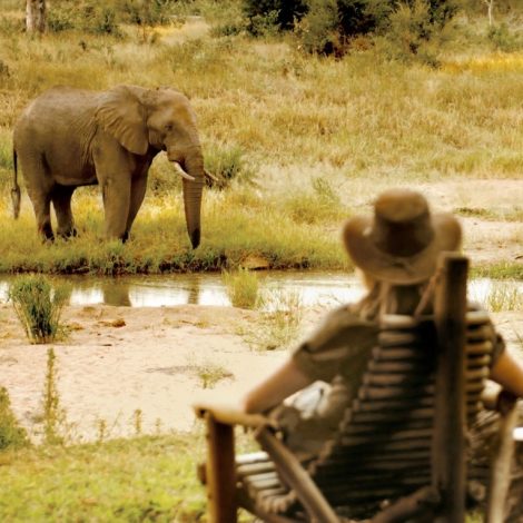The Doctors Lodge - a real bush experience that gives back!