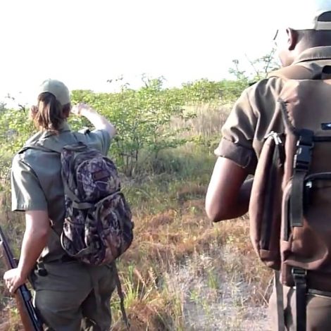 Conservation Awards Kruger National Park Rangers arrested 23 Poaching suspect in 18 days!