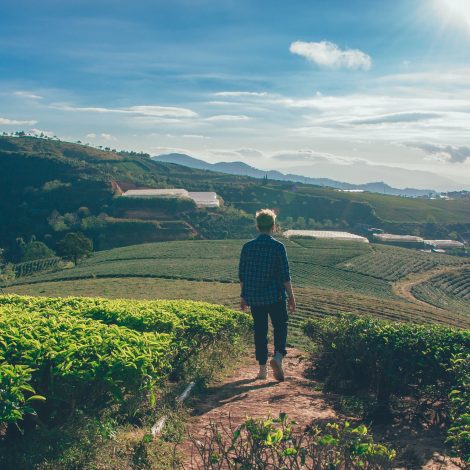 South Africans are currently sitting around talking about “Land Expropriation without Compensation” but do you actually know what it actually is?