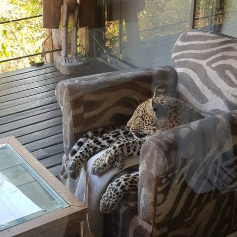 Sabi Sands