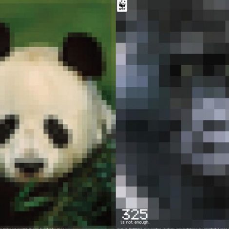 WWF