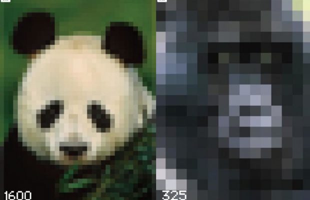 WWF