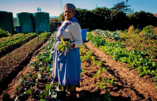 Farmer hands over R30 million village to his 150 workers