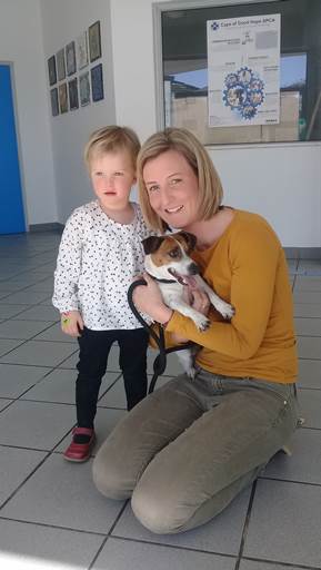 Pup finds her way back home after being missing for 2.5 years!