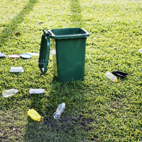 Angel Network Edenvale recycling day Clean Litter social media challenge