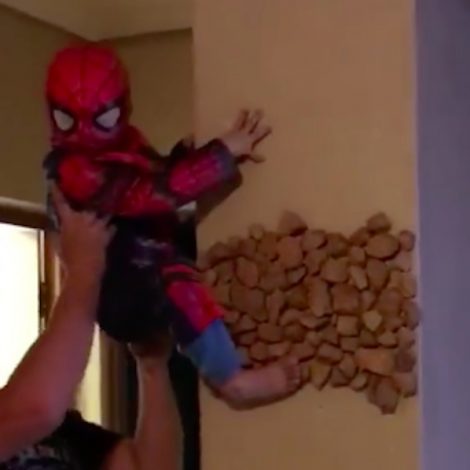 viral spider kid