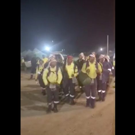 firefighters