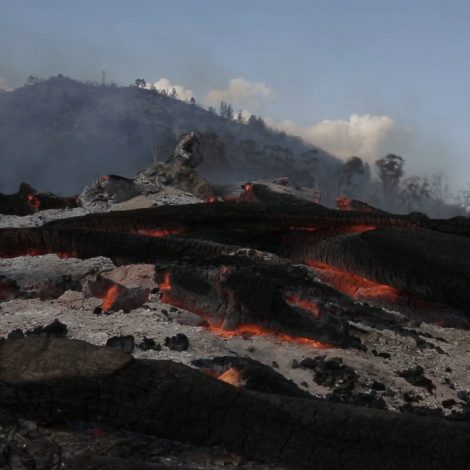 Fire and the Emergency services personnel are still furiously fighting raging fires in the Garden Route region of the country, but the immediate risk to the town of George itself has been contained.