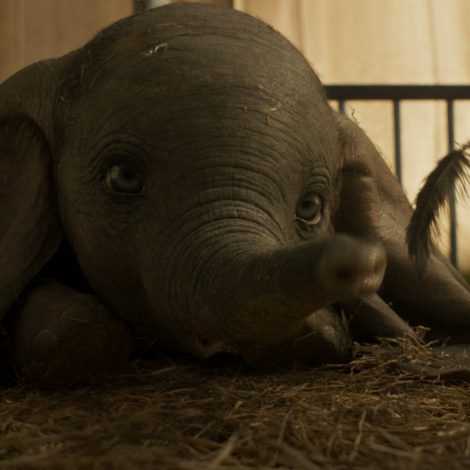Must Watch: The official trailer for Dumbo has just been released and now we're all crying!