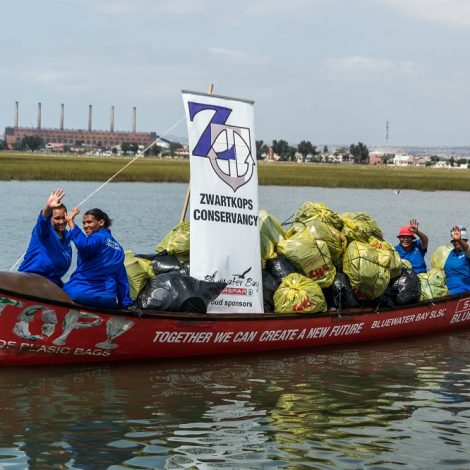 paddle challenge
