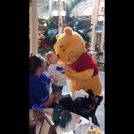 Pooh