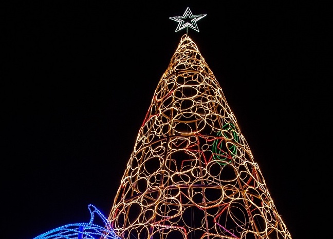 Christmas Tree