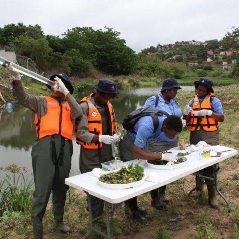 Kwazulu Natal water-wise project wins major award!