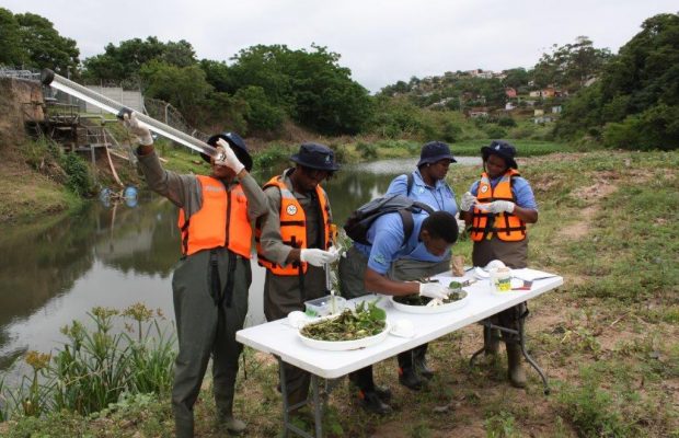 Kwazulu Natal water-wise project wins major award!