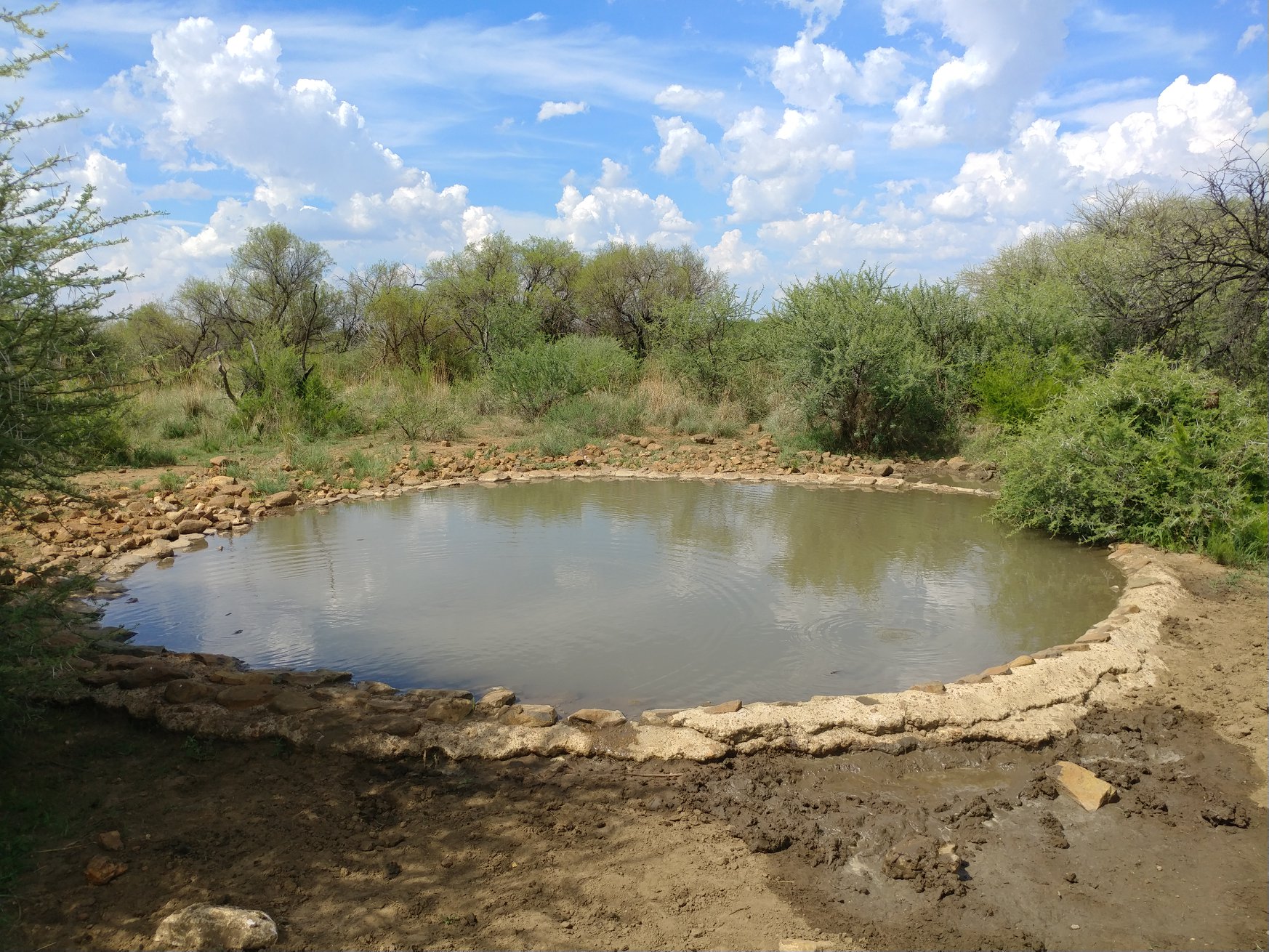 Community provide water to save game in Mafikeng protected area