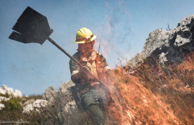Record R3.6 million raised for Free State farmers in just 4 workdays