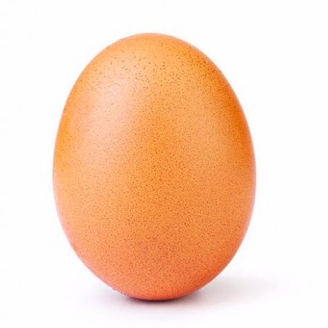 hungry families egg