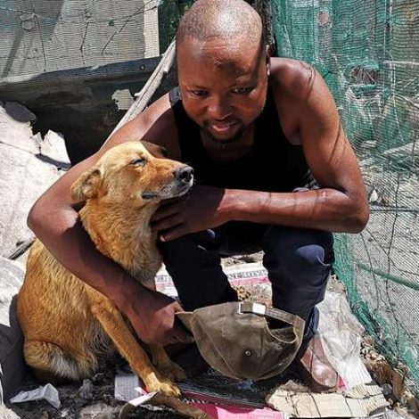 loyal dog