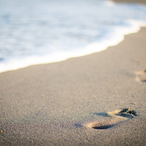 Village Couple Turtle Beach Blue Flag Spring Oceans Leave