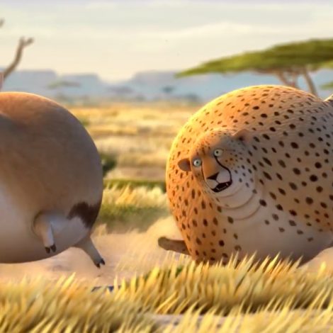 round animals