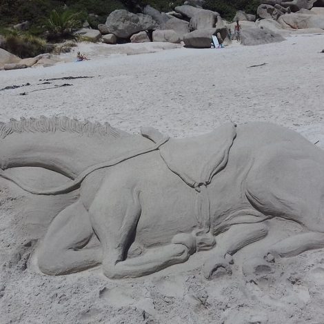 Sand Sculptor