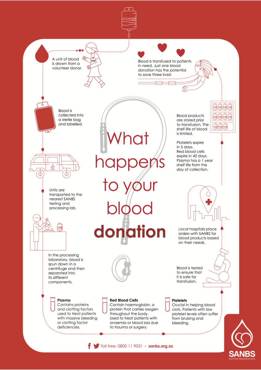 Cosa succede al mio sangue dopo la donazione? Donazione di sangue Sudafrica SANBS 