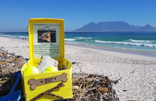 A box full of balls placed on a beach in Cape Town is going viral for all the right reasons!
